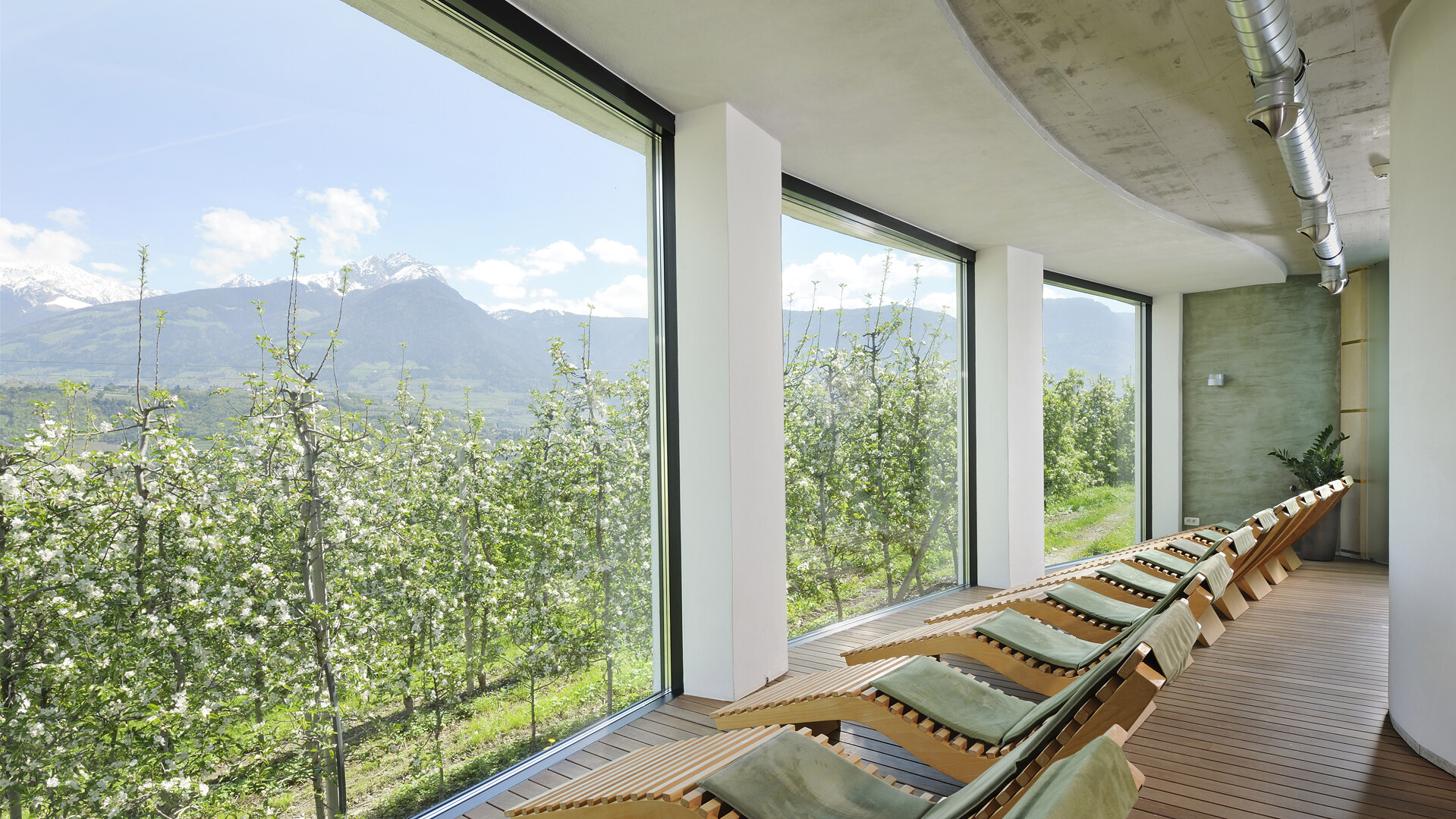 Entdecken Sie das Pazeider Bio Healing Garden Hotel in Meran – Ihr nachhaltiger Zufluchtsort in Südtirol